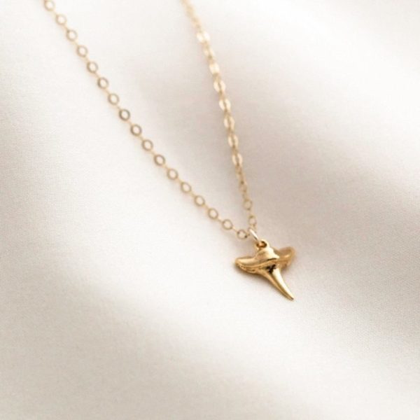 shark tooth necklace gold